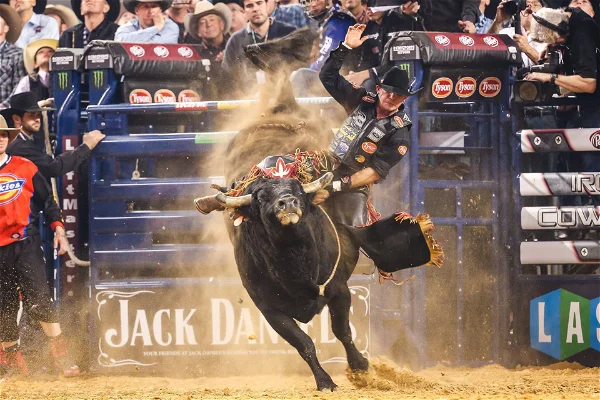 Done Deal: The Greatest Bull Rider Is Back Due to Unfinished Business…