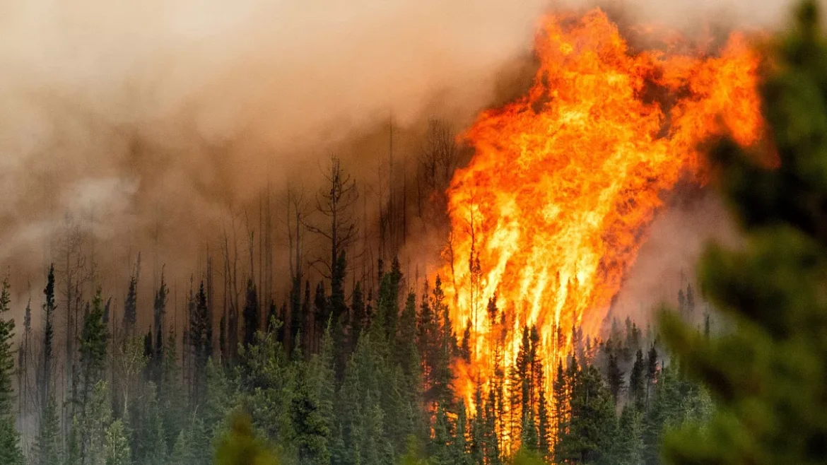 Urgent: Environment Canada Warns Canadians to Brace for More Wildfires and Hurricanes