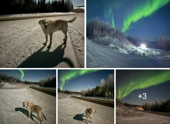 Northern Lights Dazzle Above the Clouds in Fairbanks, Alaska – A Spectacular Show on October 18, 2024!