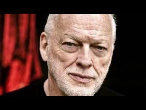 So Sad as Iconic English Guitarist and Singer-Songwriter David Gilmour Passes Away After Unsuccessful Surgery at….