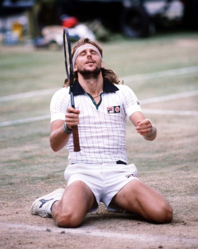 1980 Wimbledon Championships