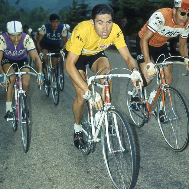 eddy-merckx-tour-de-france-3