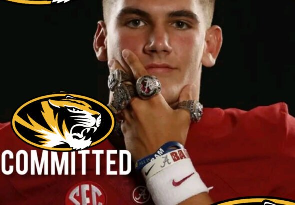 InShot_20260223_151453055