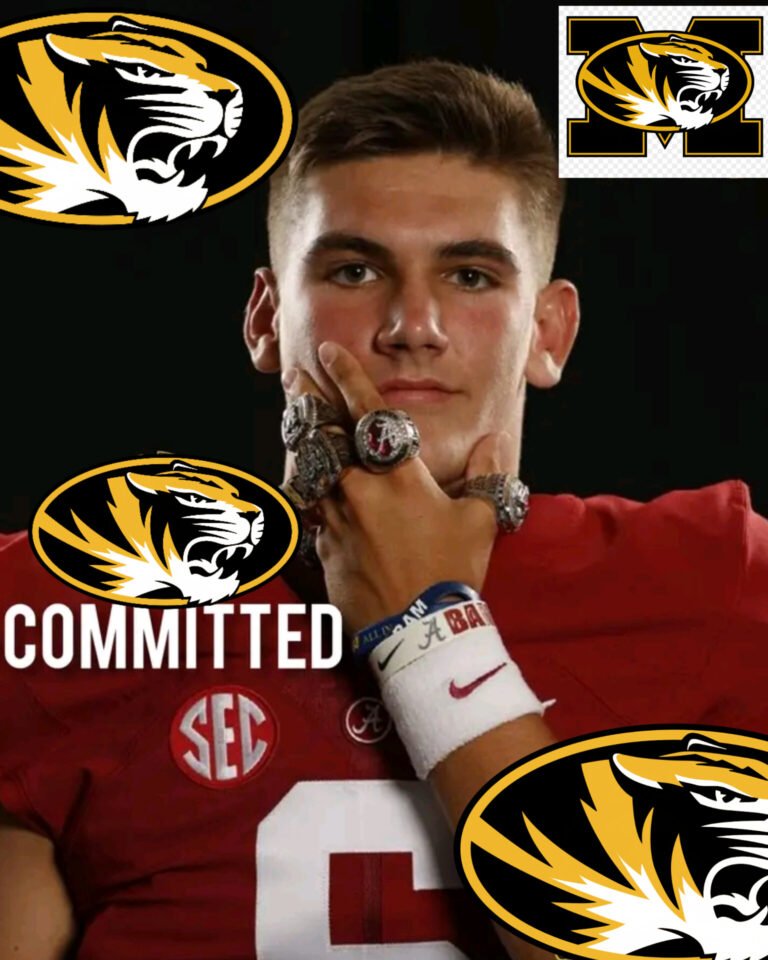 InShot_20260223_151453055