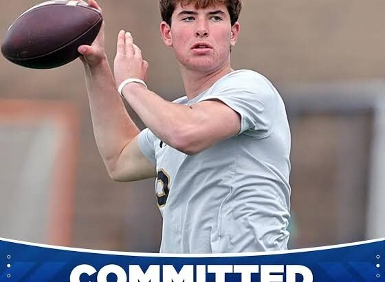 images - 2026-02-01T130137.390